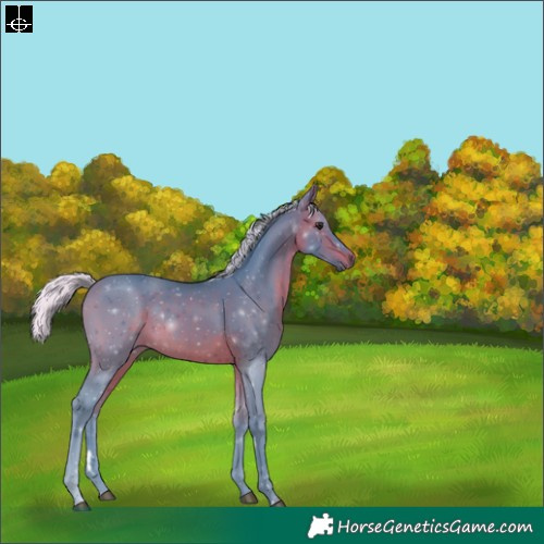 Horse Color:Watercolor Silver Brown 