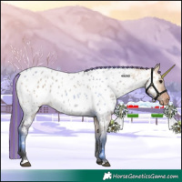 Horse Color:Painted Bay Dun Near Leopard 