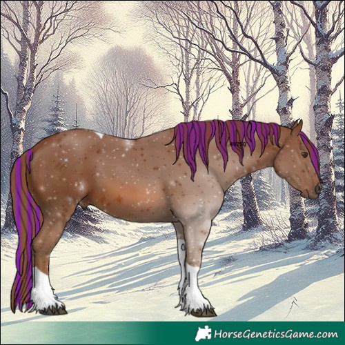 Horse Color:Painted Chestnut Tobiano 