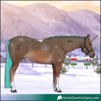 Horse Color:Painted Chocolate Palomino Tobiano 