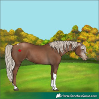 Horse Color:Gray Silver Black Pearl Tobiano 