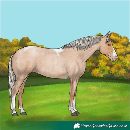 Horse Color:Silver Blue Roan Pearl Tobiano Frame 