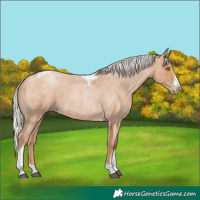 Horse Color:Silver Blue Roan Pearl Tobiano Frame 