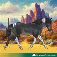 Horse Color:Black Tobiano Rabicano 