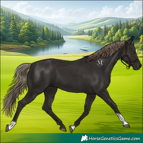 Horse Color:Liver Chestnut Tobiano 