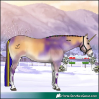 Horse Color:Painted Buckskin Onyx 