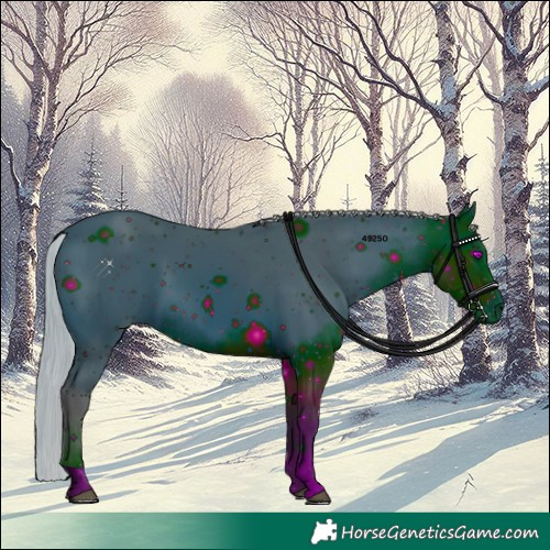 Horse Color:ERROR: UNKNOWN ANOMALY