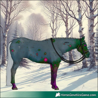 Horse Color:ERROR: UNKNOWN ANOMALY