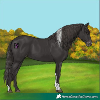 Horse Color:Smoky Black Tobiano Varnish