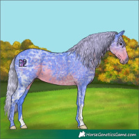 Horse Color:Watercolor Silver Smoky Black Ice 