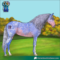 Horse Color:Watercolor Silver Smoky Black Ice 