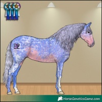 Horse Color:Watercolor Silver Smoky Black Ice 