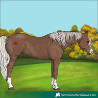 Horse Color:Silver Black 