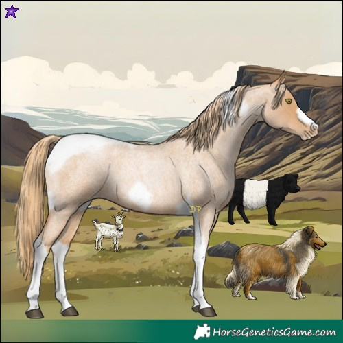 Horse Color:Red Roan Pearl Tobiano Frame 