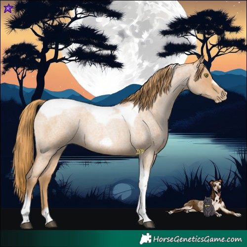 Horse Color:Red Roan Pearl Tobiano Frame 