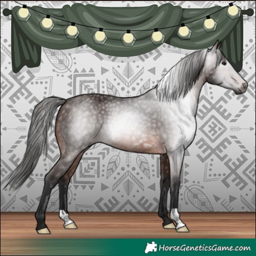 Horse Color:Gray Bay 