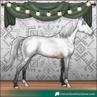 Horse Color:Gray Bay 