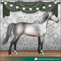 Horse Color:Gray Bay 