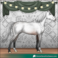Horse Color:Gray Bay