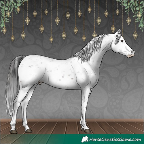 Horse Color:Brown Sabino 
