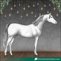 Horse Color:Brown Sabino