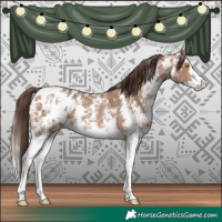 Horse Color:Amber Champagne Sabino Blanket 