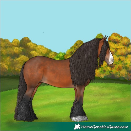 Horse Color:Bay Frame 