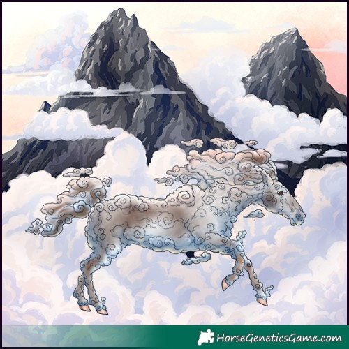 Horse Color:Gray Chestnut 