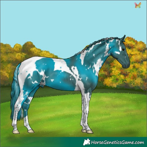 Horse Color:Watercolor White Spotted Black Tobiano 