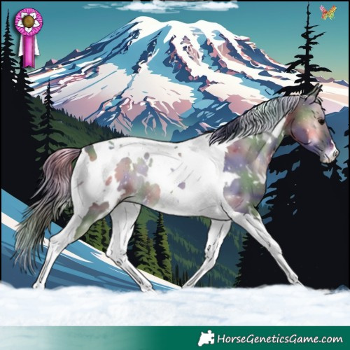 Horse Color:Nacre White Spotted Blue Onyx Tobiano 