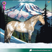 Horse Color:White Spotted Buckskin Dun