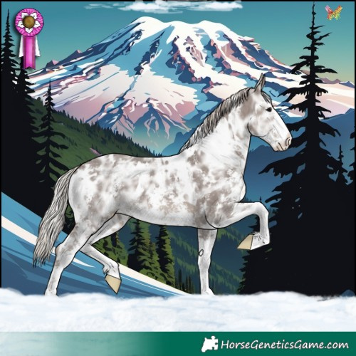 Horse Color:White Spotted Silver Black Ice Sabino 