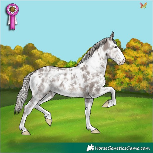 Horse Color:White Spotted Silver Black Ice Sabino 
