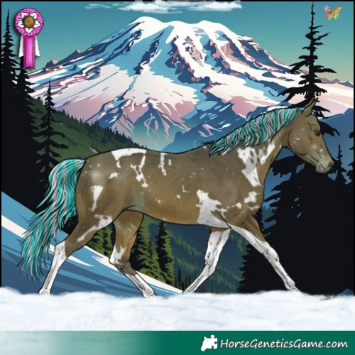 Horse Color:Painted White Spotted Silver Bay Tobiano 