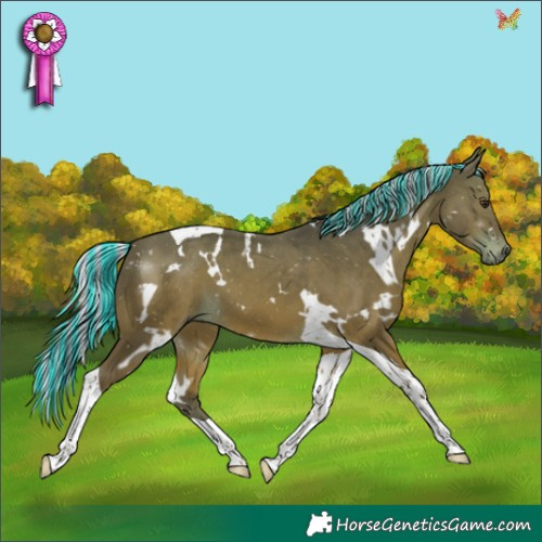 Horse Color:Painted White Spotted Silver Bay Tobiano 