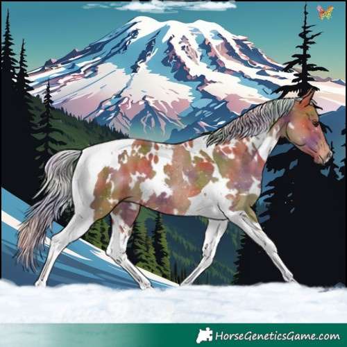 Horse Color:Nacre White Spotted Silver Bay Tobiano Rabicano 