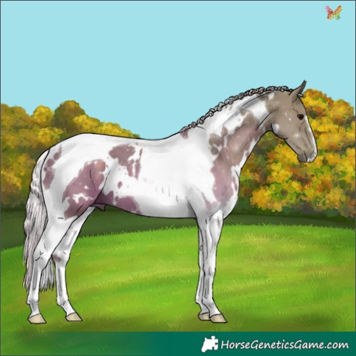 Horse Color:Watercolor White Spotted Silver Black Tobiano 