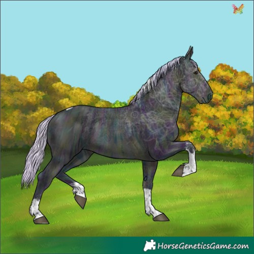 Horse Color:Watercolor Midnight Silver Buckskin Ice Sabino Tobiano 