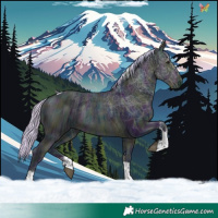 Horse Color:Watercolor Midnight Silver Buckskin Ice Sabino Tobiano