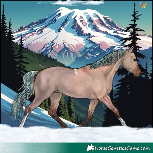 Horse Color:Painted Silver Brown Dun Tobiano 