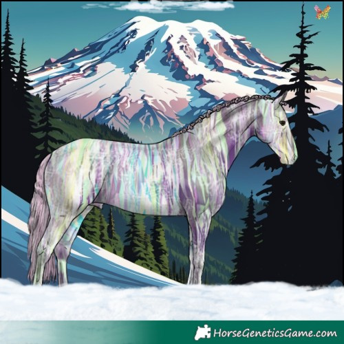 Horse Color:Painted Silver Black Ice Tobiano Rabicano 