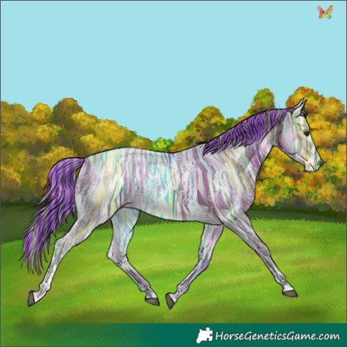 Horse Color:Painted Silver Brown Ice Dun Tobiano Rabicano 