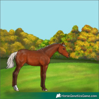 Horse Color:Silver Brown 