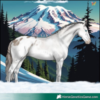 Horse Color:Brown Dun Sabino Splash Blanket 