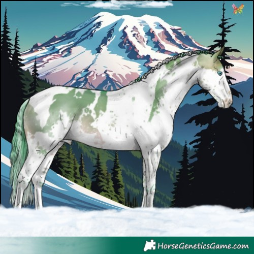 Horse Color:Watercolor White Spotted Brown Dun Splash Tobiano 