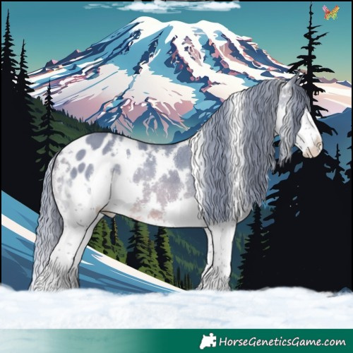 Horse Color:Watercolor White Spotted Buckskin Splash Appaloosa 
