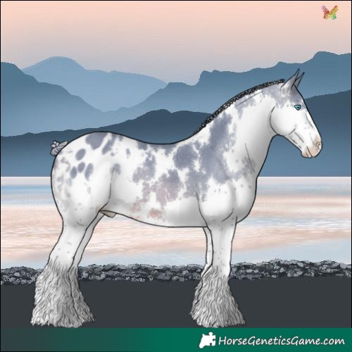 Horse Color:Watercolor White Spotted Buckskin Splash Blanket 