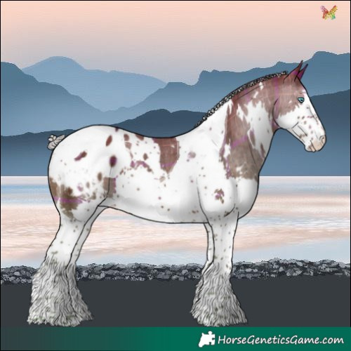 Horse Color:Plaid  White Spotted Silver Brown Splash Tobiano Blanket 