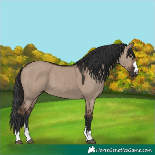 Horse Color:Liver Red Dun 
