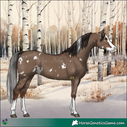 Horse Color:White Spotted Liver Red Dun Splash 